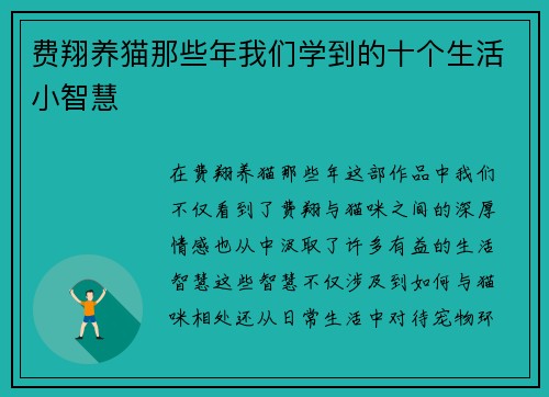 费翔养猫那些年我们学到的十个生活小智慧