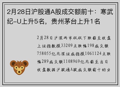 2月28日沪股通A股成交额前十：寒武纪-U上升5名，贵州茅台上升1名