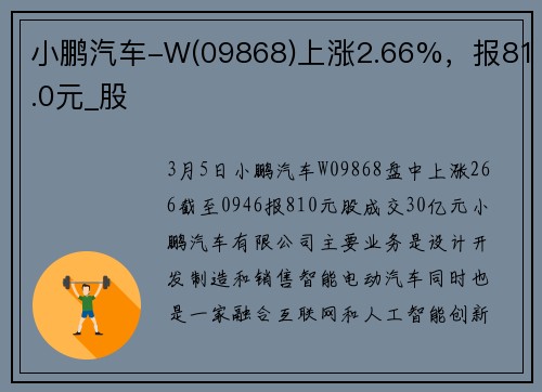 小鹏汽车-W(09868)上涨2.66%，报81.0元_股