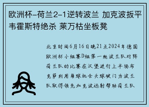 欧洲杯-荷兰2-1逆转波兰 加克波扳平韦霍斯特绝杀 莱万枯坐板凳