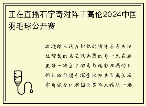 正在直播石宇奇对阵王高伦2024中国羽毛球公开赛